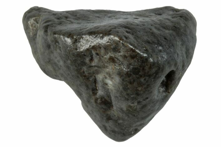 Lunar Meteorite ( g) - Laayoune #281506